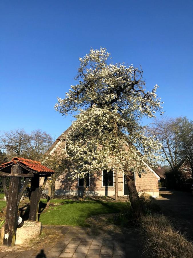 Вилла In De Tuin In Gees Экстерьер фото